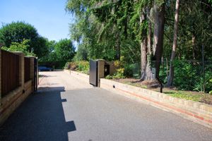 Photo 4- click for photo gallery